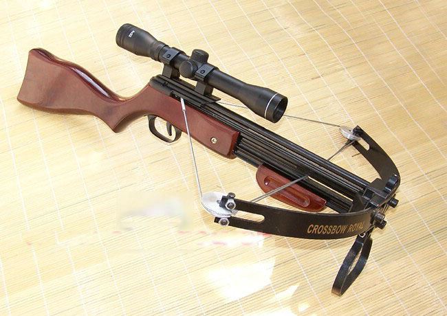 40支8008箭 40支145箭 10支338箭 500颗钢珠 120元的警用强光灯套餐价