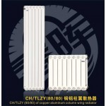 CH/TLZY（80/80）铜铝柱翼散热器