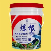 爆根 复合微生物菌剂