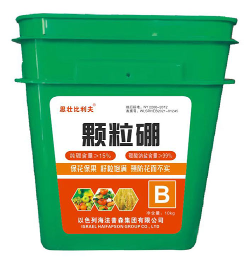 20-颗粒硼
