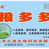 根多多