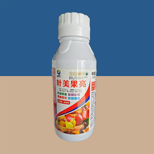 02-叶美果亮