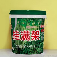 挂满架-豆类