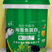 海藻鱼蛋白-微生物菌剂