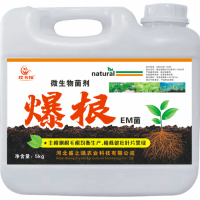 微生物菌剂（爆根EM菌）